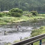 柏野　下